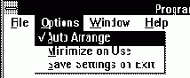   Program Manager